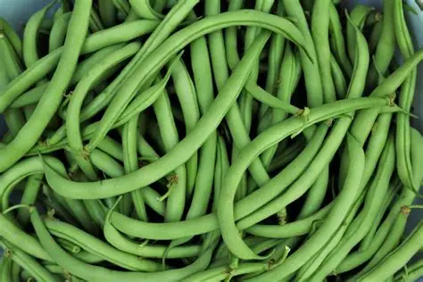 Fresh Beans & Peas
