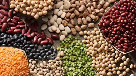 Other Beans & Pulses