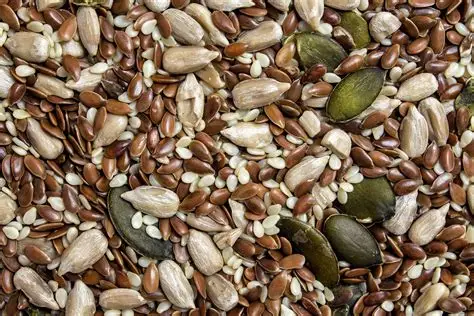 Edible Seeds