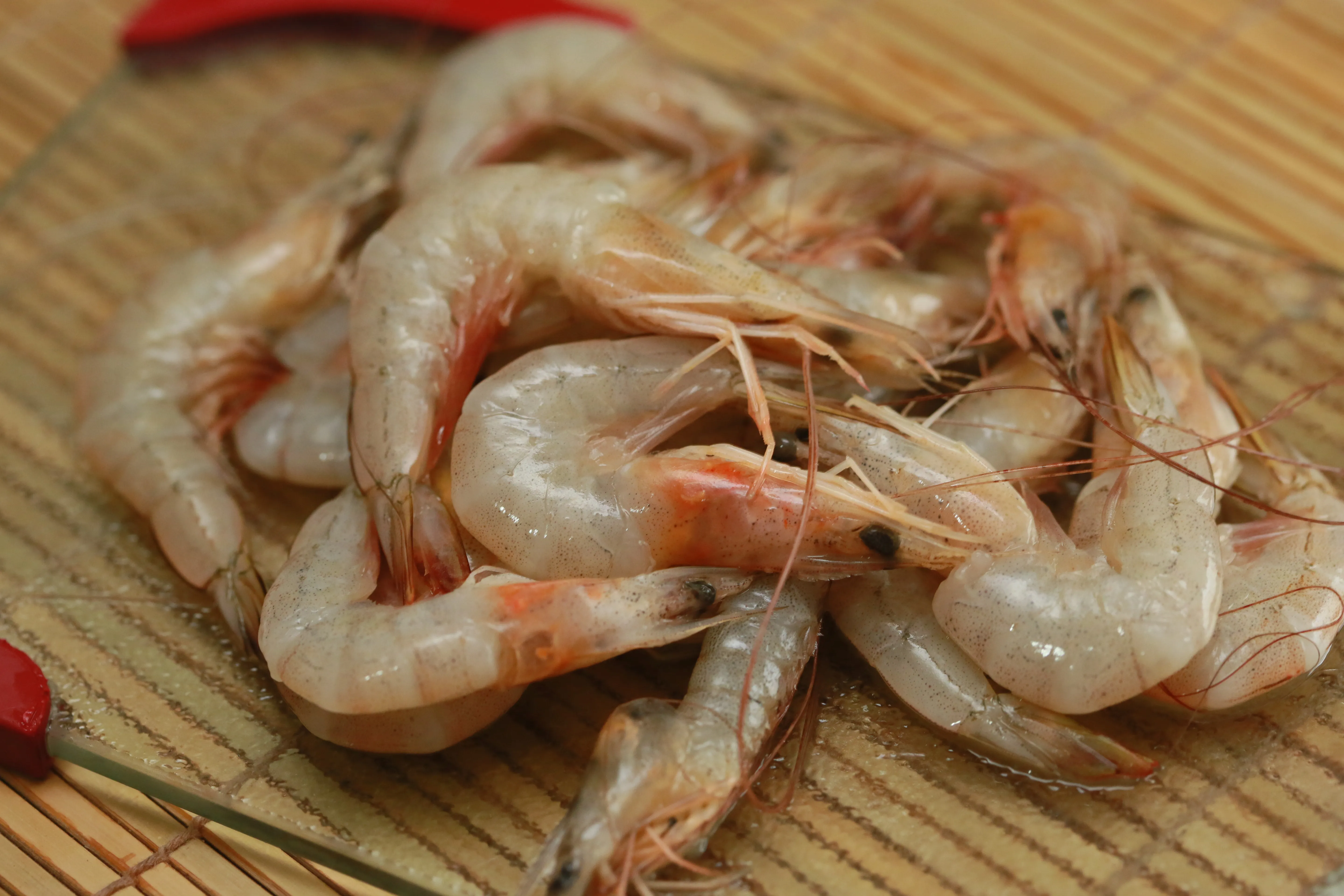 Shrimp & Prawns